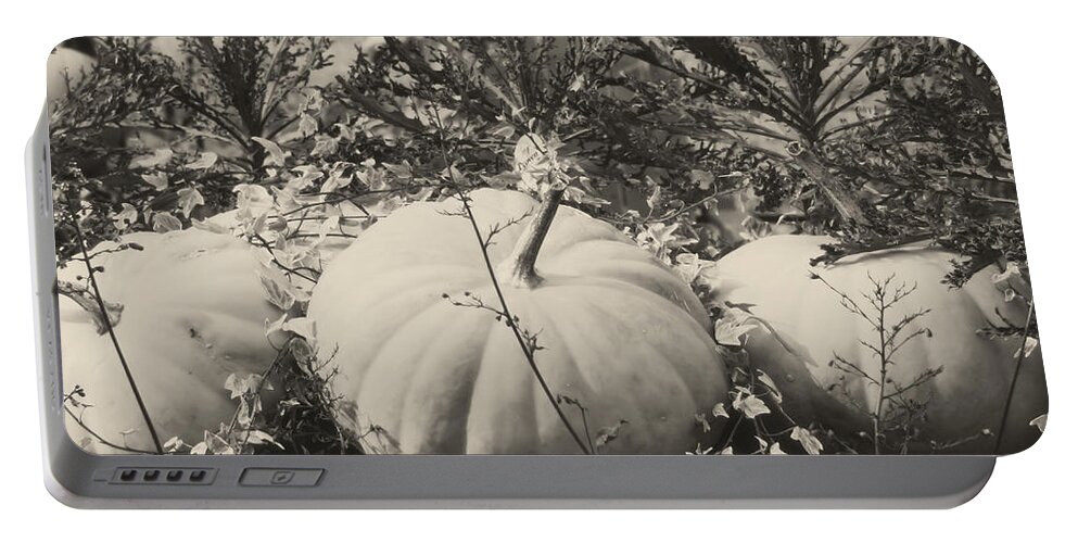 Pumpkin Portable Battery Charger featuring the photograph Country Pumpkins In Black And White by Smilin Eyes Treasures