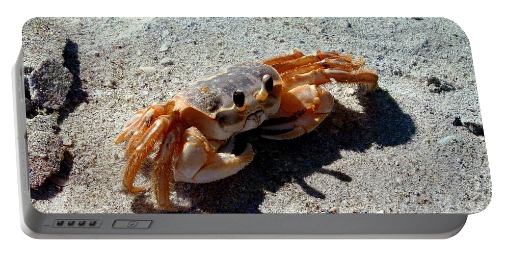 Crab Portable Battery Charger featuring the photograph Crab Walk by Ellen Heaverlo