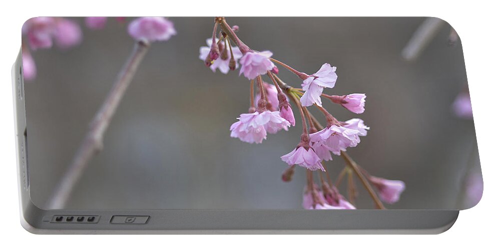 Lagerstroemia Indica Portable Battery Charger featuring the photograph Crepe Myrtle by Lisa Phillips