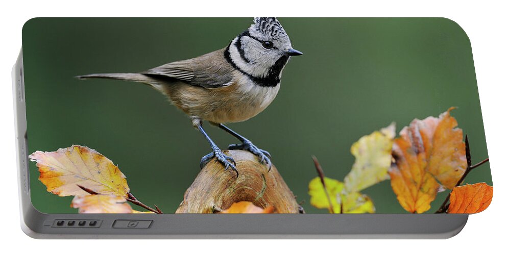 Fn Portable Battery Charger featuring the photograph Crested Tit Parus Cristatus, Veluwe by Do Van Dijck