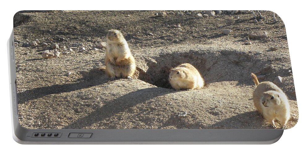 Gopher Portable Battery Charger featuring the photograph Curious Gophers by Kim Galluzzo