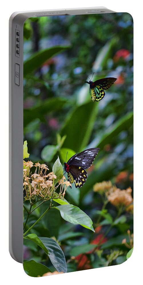 Butterflies Portable Battery Charger featuring the photograph Dance of the Butterflies by Douglas Barnard