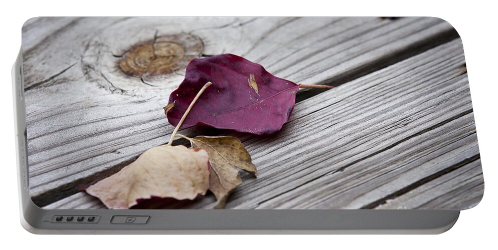 Leaves Portable Battery Charger featuring the photograph Dead Leaves by Olivier Steiner