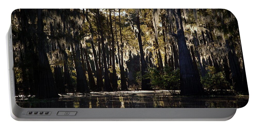 Swamp Portable Battery Charger featuring the photograph Deep Swamp by Ron Weathers