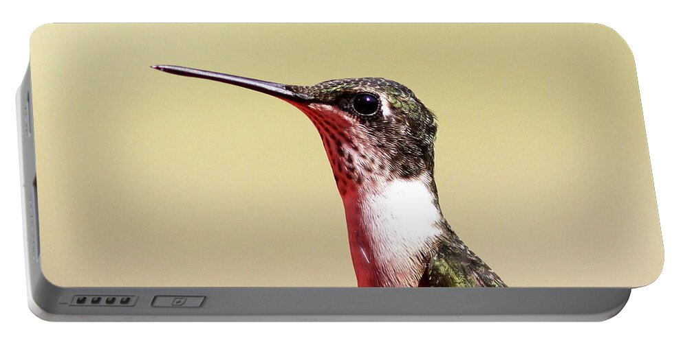 Hummingbird Portable Battery Charger featuring the photograph Detail on Display by Travis Truelove
