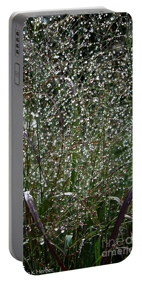 Outdoors Portable Battery Charger featuring the photograph Diamonds By Nature by Susan Herber