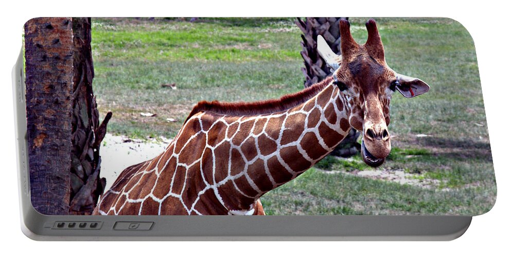 Giraffe Portable Battery Charger featuring the photograph Did You Say Smile by Bob Johnson