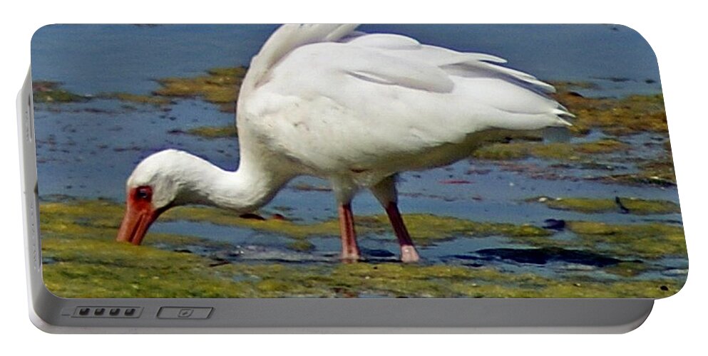 Bird. Florida Portable Battery Charger featuring the photograph Dinnertime by Joe Faherty