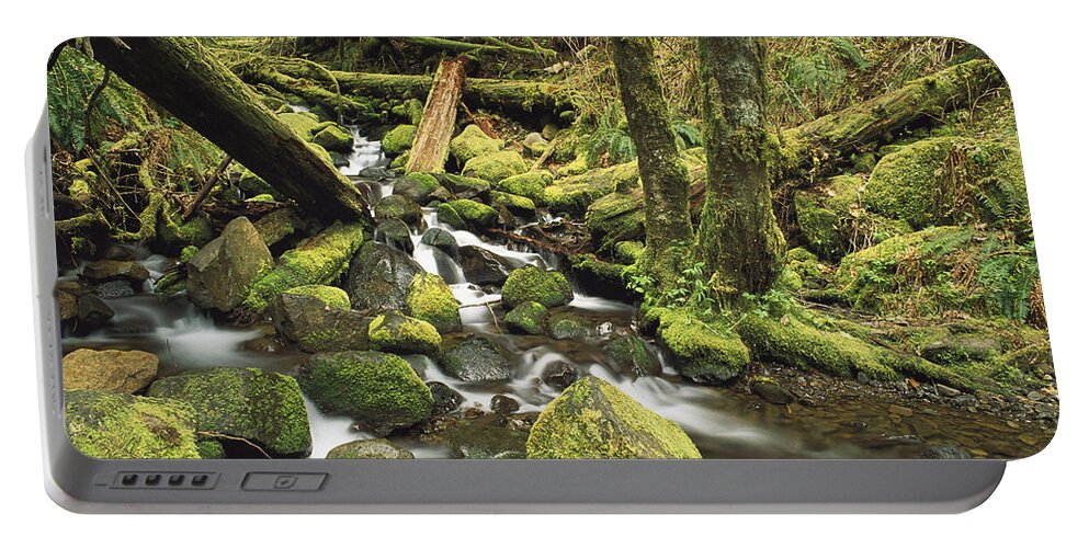Mp Portable Battery Charger featuring the photograph Downed Logs In Sorensen Creek by Gerry Ellis
