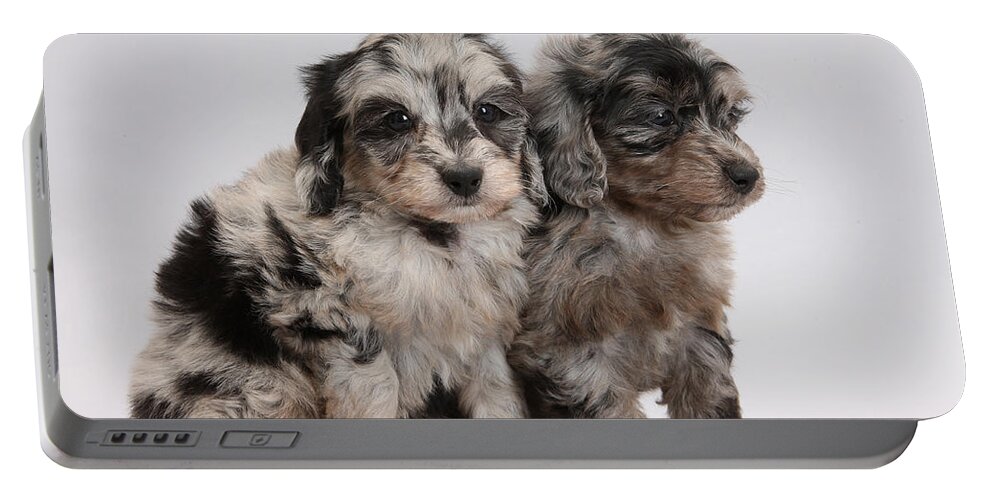 Nature Portable Battery Charger featuring the photograph Doxie-doodle Pups by Mark Taylor