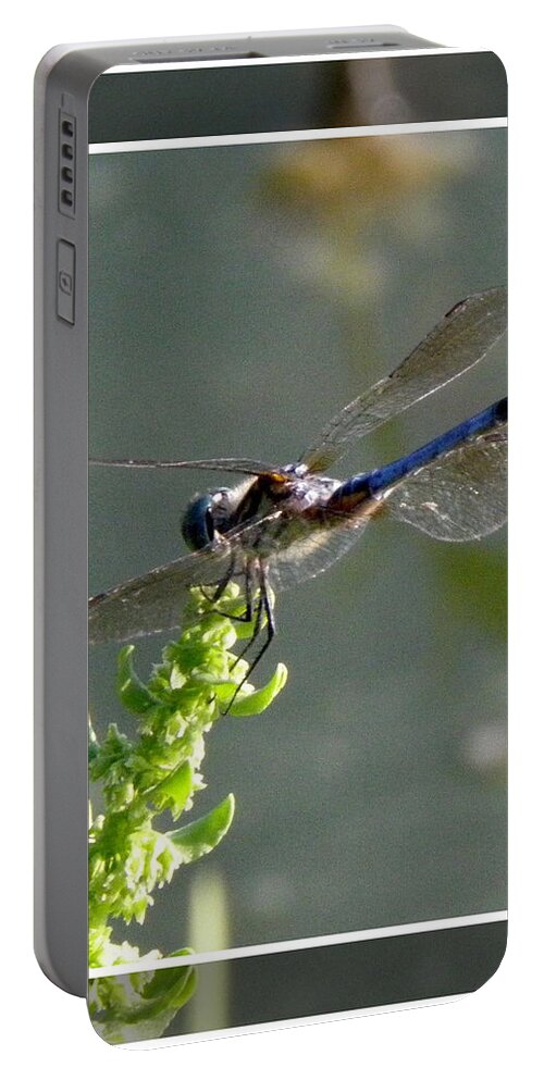Blue Portable Battery Charger featuring the photograph Dragon fly by Kim Galluzzo Wozniak