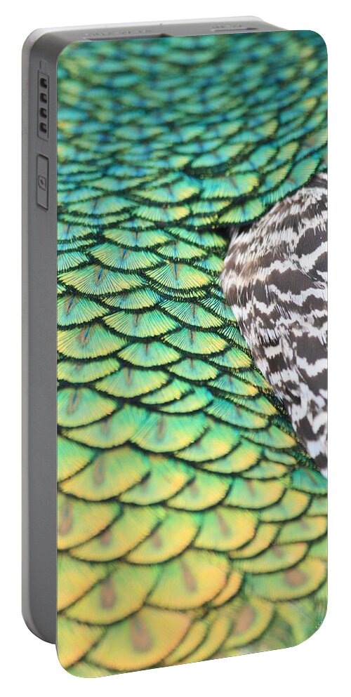 Peacock Portable Battery Charger featuring the photograph Dragon Scales by Amy Gallagher