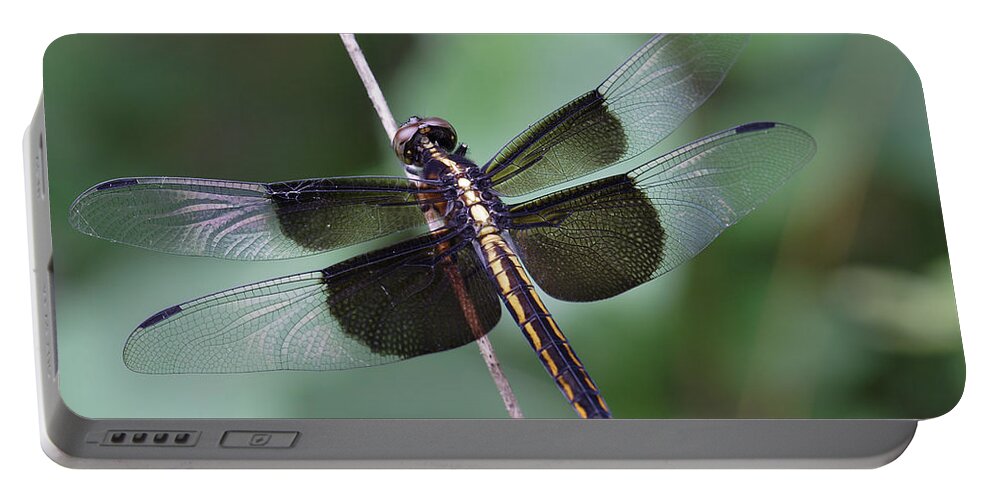 Insect Portable Battery Charger featuring the photograph Dragonfly by Daniel Reed
