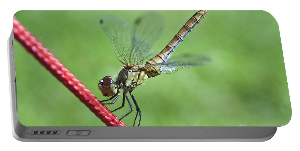 Nature Portable Battery Charger featuring the photograph Dragonfly on a String by Heiko Koehrer-Wagner