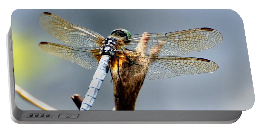  Portable Battery Charger featuring the photograph Dragonfly Perched by Mark Valentine