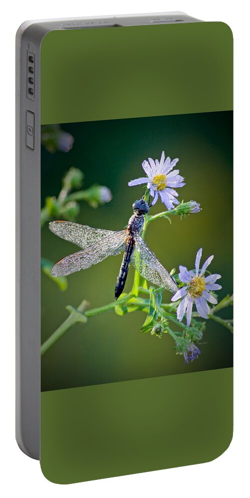 Dragonfly Portable Battery Charger featuring the photograph Dragonfly by Rebecca Samler