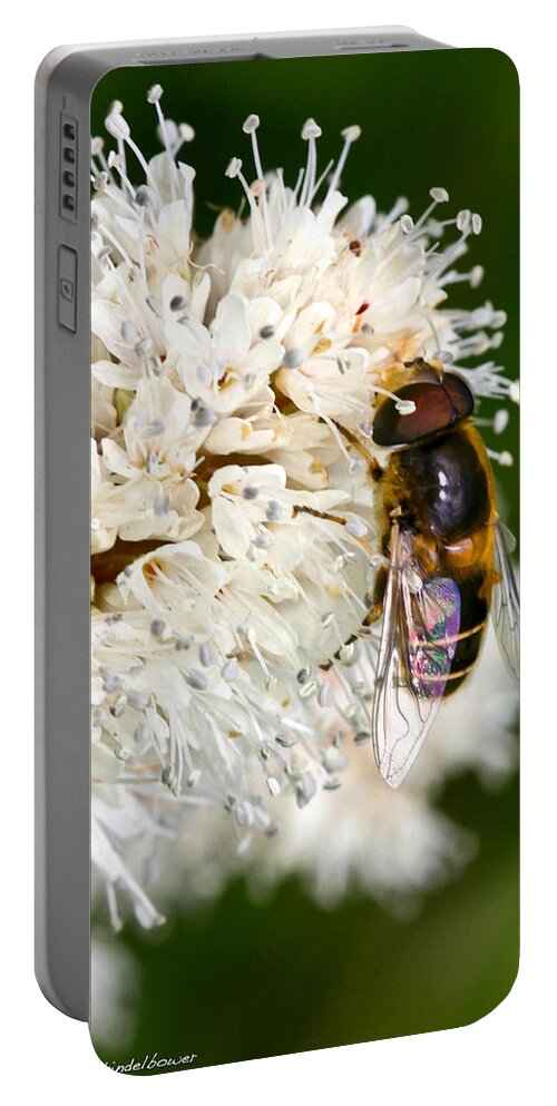 Drone Fly Portable Battery Charger featuring the photograph Drone Fly by Mitch Shindelbower