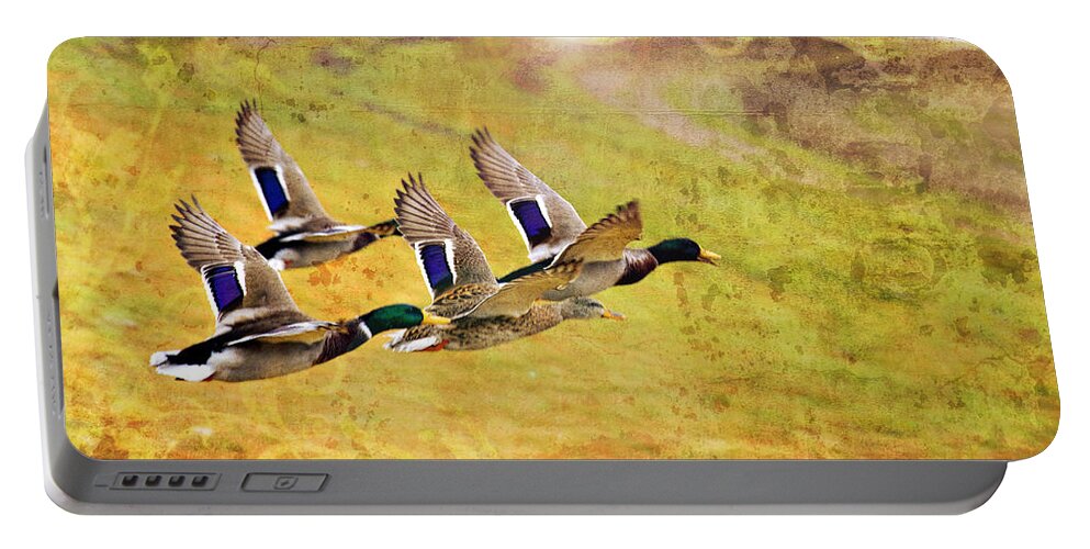 Ducks In Flight Portable Battery Charger featuring the photograph Ducks in Flight V4 by Douglas Barnard