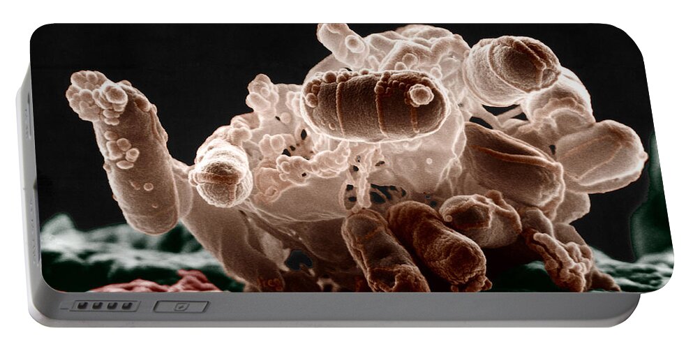 Sem Portable Battery Charger featuring the photograph E. Coli Bacteria by Science Source