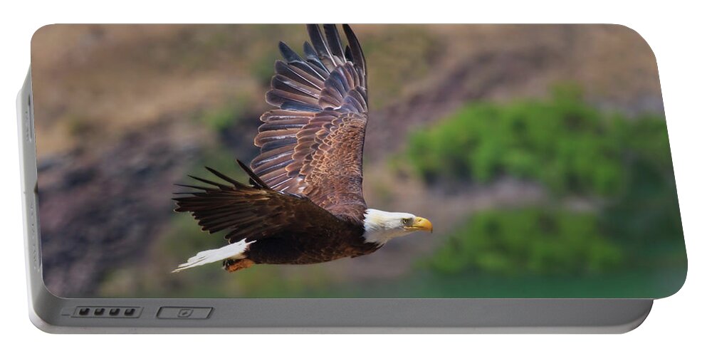 Raptor Portable Battery Charger featuring the photograph Eagle In Flight by Beth Sargent