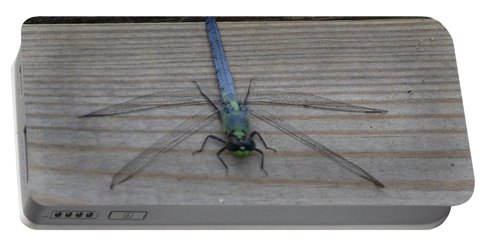 Insect Portable Battery Charger featuring the photograph Eastern Pondhawk Dragonfly by Donna Brown