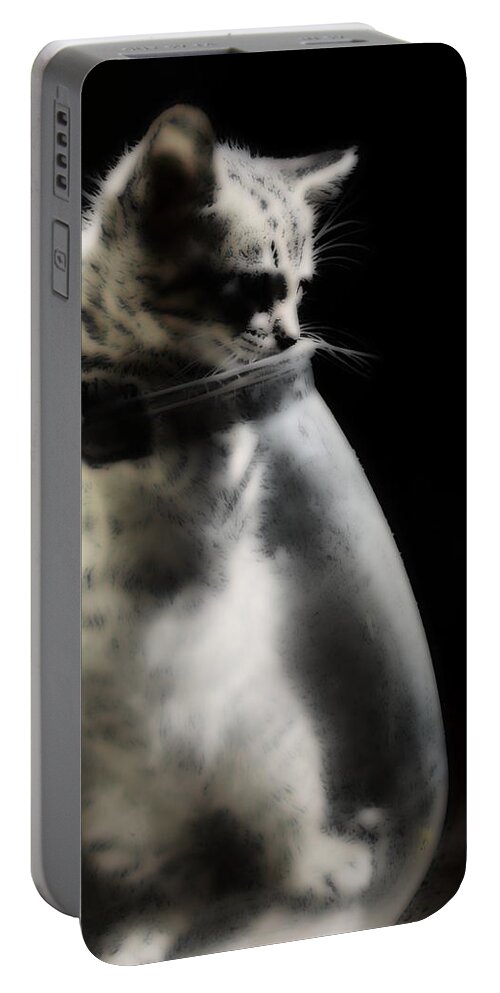 Kitten Portable Battery Charger featuring the photograph El Kitty by Jessica S