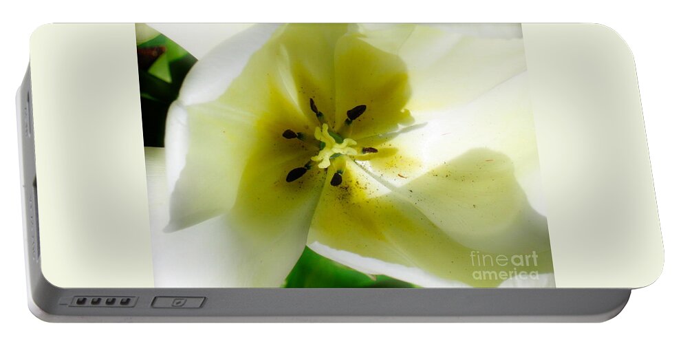 Flower Portable Battery Charger featuring the photograph Ethereal by Rory Siegel