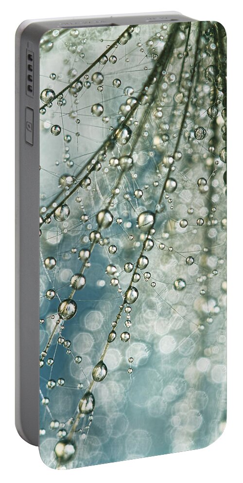 Thistle Portable Battery Charger featuring the photograph Fairy Rain by Sharon Johnstone