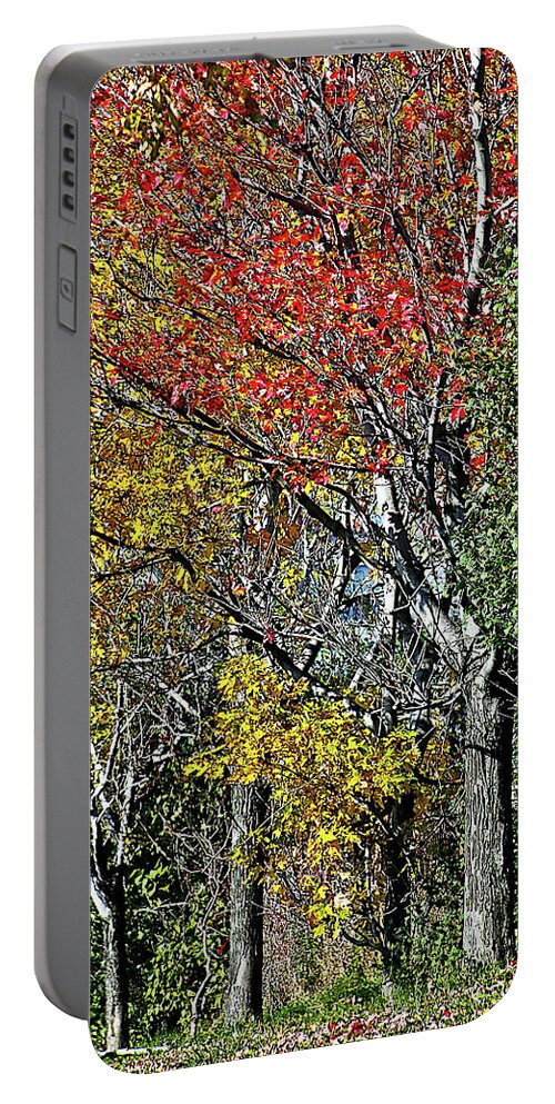 Trees Portable Battery Charger featuring the photograph Fall Colors by Burney Lieberman