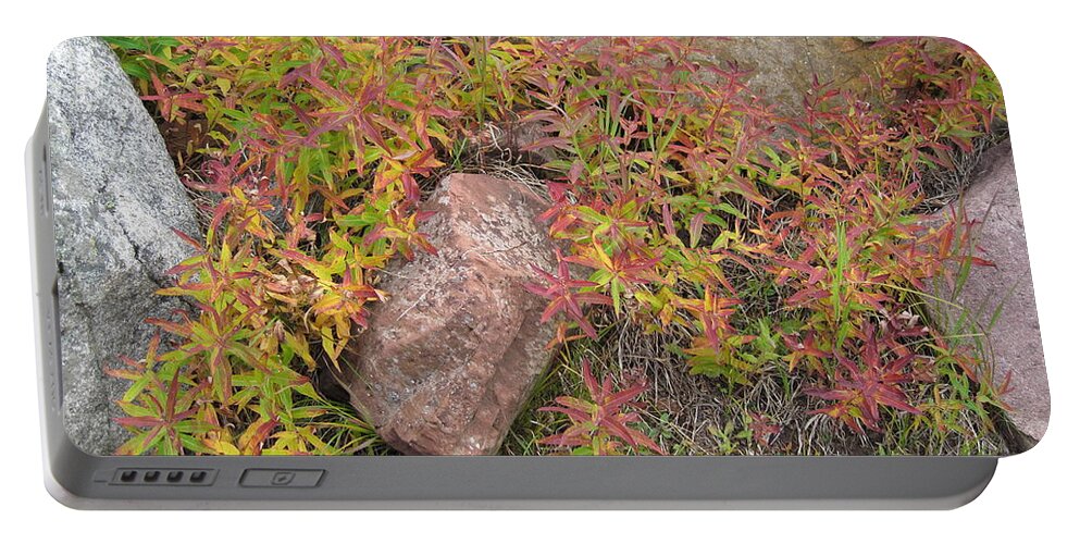 Arapaho Portable Battery Charger featuring the photograph Fall Festival by Eric Glaser