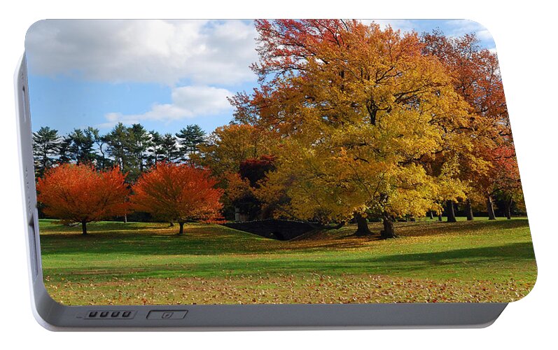 Landscape Portable Battery Charger featuring the photograph Fall Foliage by Lisa Phillips