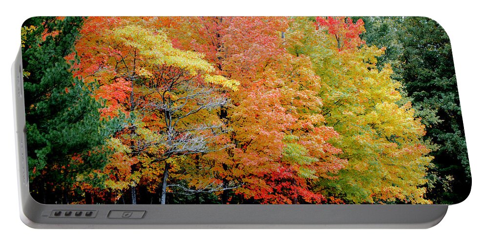 Autumn Colors Portable Battery Charger featuring the photograph Fall in Michigan by Optical Playground By MP Ray
