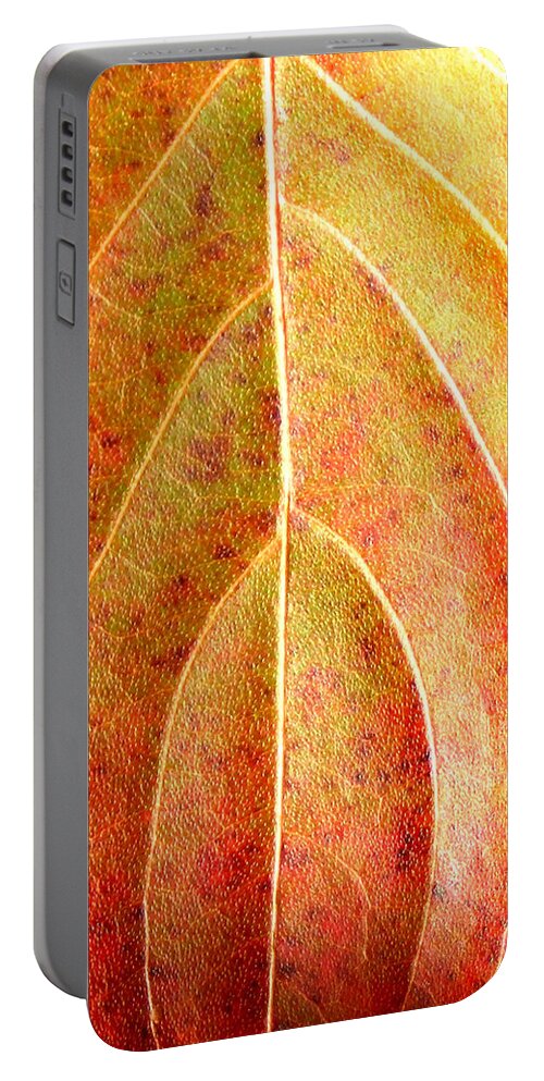Fall Leaves Portable Battery Charger featuring the photograph Fall Leaf upclose by Duane McCullough
