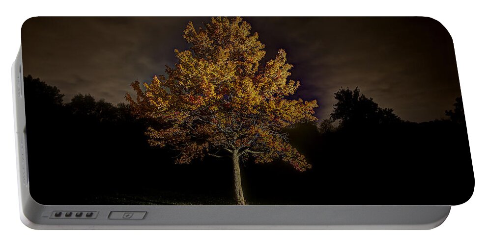 Fall Portable Battery Charger featuring the photograph Fall Tree by Nicholas Grunas