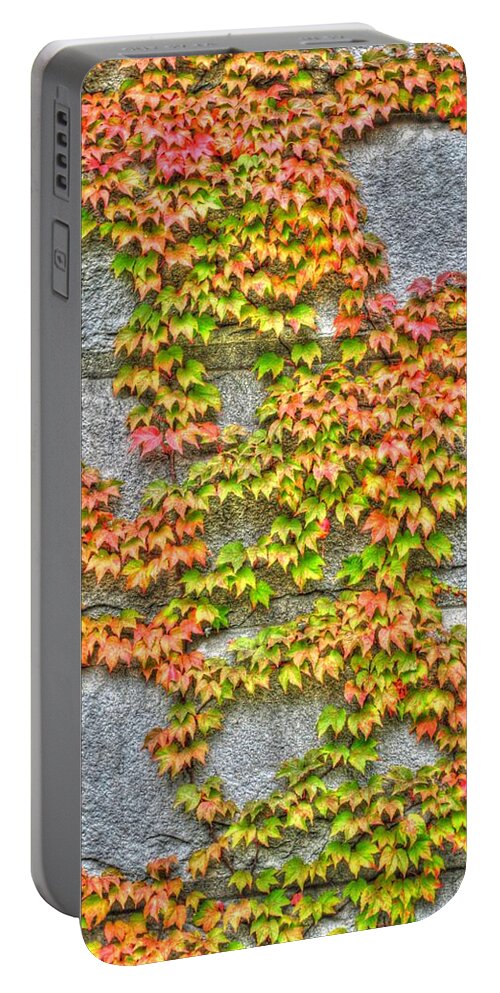  Portable Battery Charger featuring the photograph Fall Wall by Michael Frank Jr