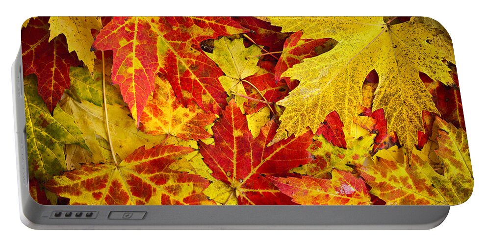 Leaves Portable Battery Charger featuring the photograph Fallen autumn maple leaves by Elena Elisseeva