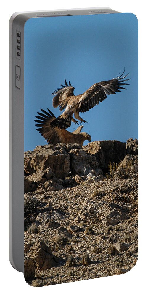 Action Portable Battery Charger featuring the photograph Feather fluster by Alistair Lyne