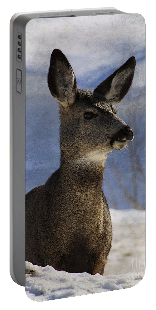 Deer Portable Battery Charger featuring the photograph Female Mule Deer by Alyce Taylor