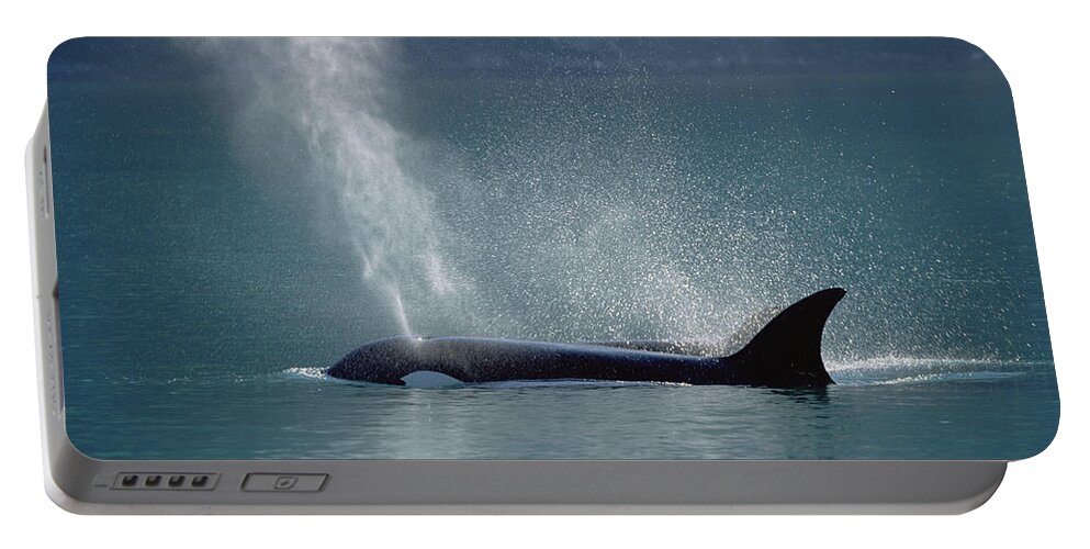 00196760 Portable Battery Charger featuring the photograph Female Orca Spouting Alaska by Konrad Wothe