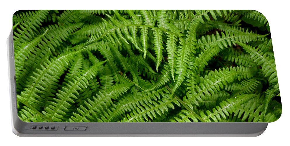 Ferns Portable Battery Charger featuring the photograph Ferns by Kim Galluzzo Wozniak