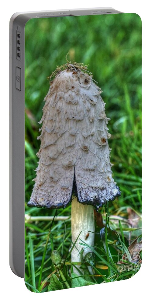 Paint Portable Battery Charger featuring the photograph Fleshy Fungi by Tap On Photo