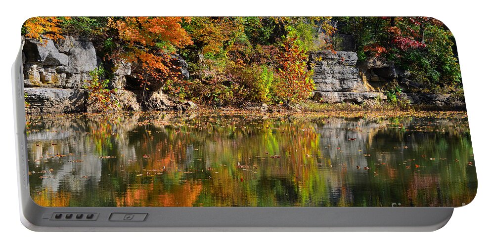 Landscape Autumn Portable Battery Charger featuring the photograph Floating Leaves in Tranquility by Peggy Franz