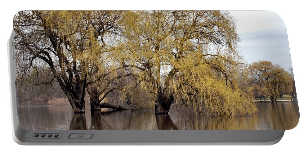 Spring Portable Battery Charger featuring the photograph Flooded Trees by Richard Gregurich