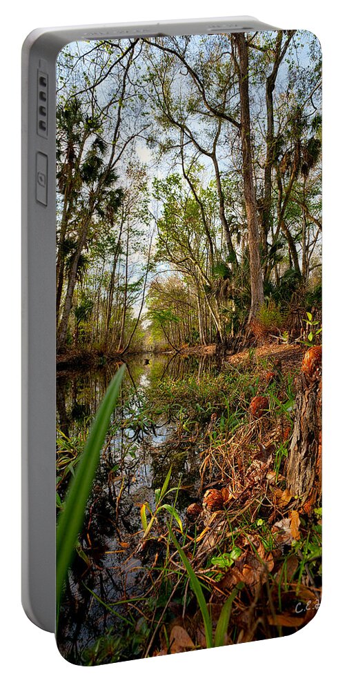 Stream Portable Battery Charger featuring the photograph Florida Stream by Christopher Holmes