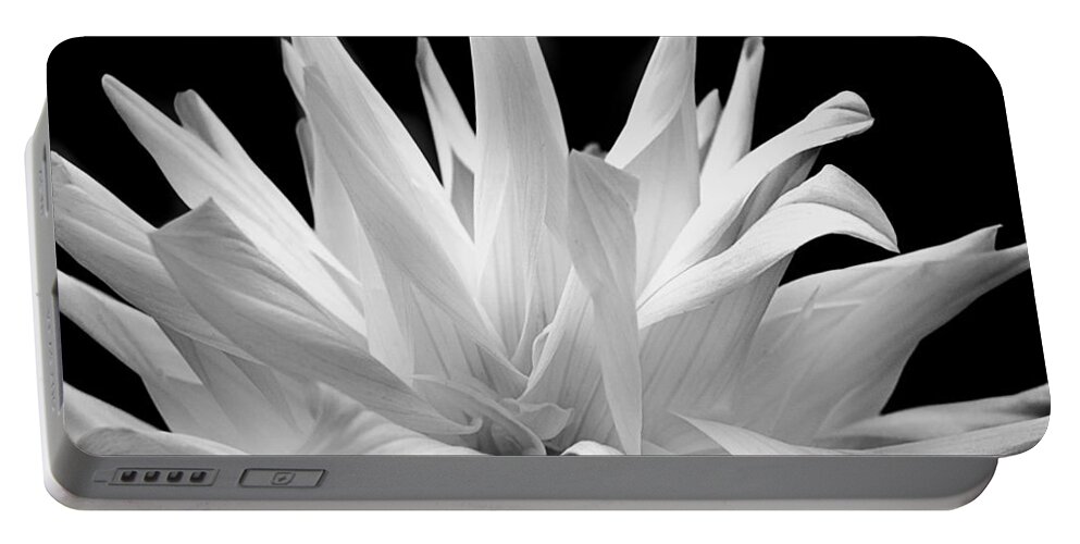White Flower Portable Battery Charger featuring the photograph Flower 11 by Burney Lieberman