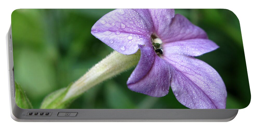 Flowers Portable Battery Charger featuring the photograph Flower by Tony Cordoza