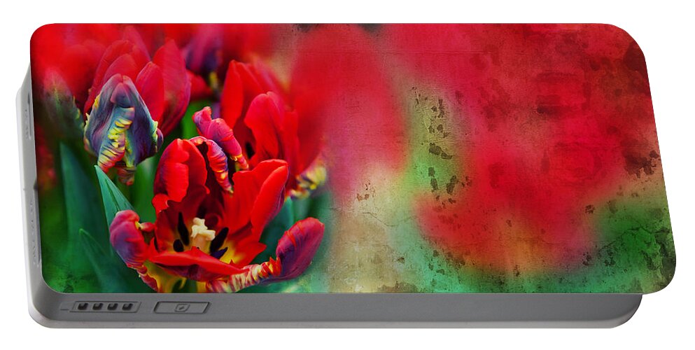 Flowers Portable Battery Charger featuring the photograph Flowers by Ariadna De Raadt