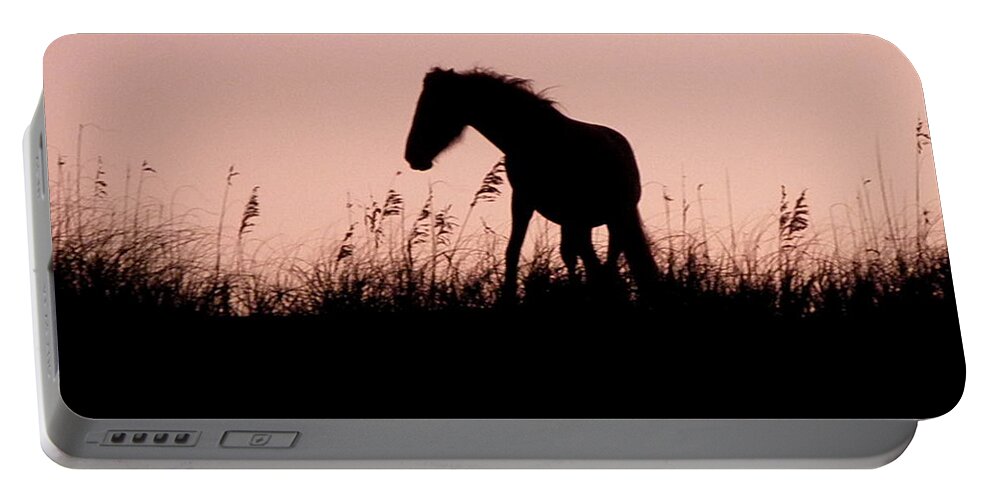 Foal Portable Battery Charger featuring the photograph Foal At Sunset by Kim Galluzzo