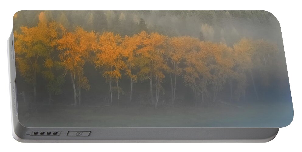 Autumn Color Portable Battery Charger featuring the photograph Foggy Autumn Morning by Albert Seger
