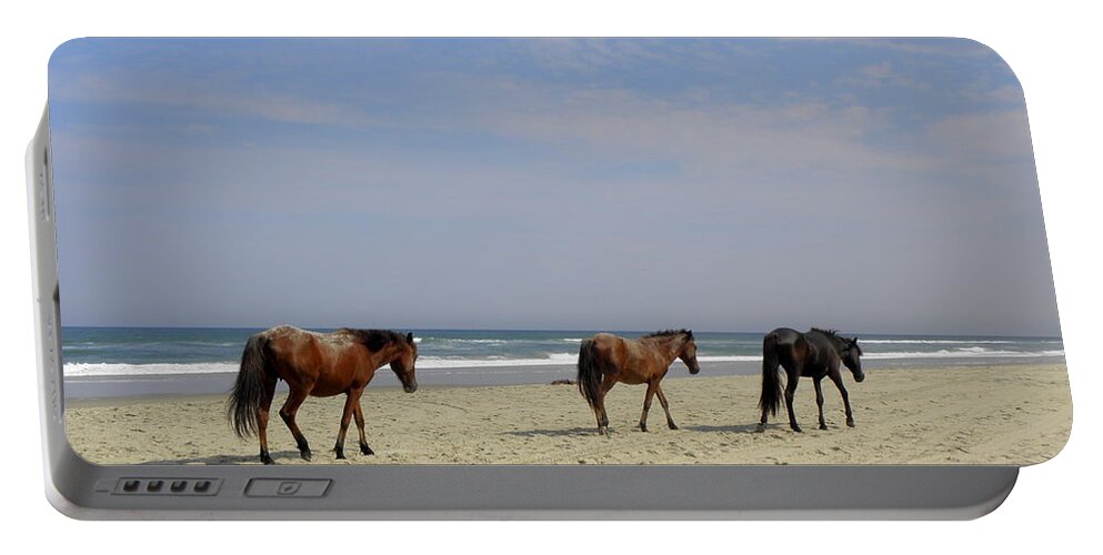 Wild Spanish Mustangs Portable Battery Charger featuring the photograph Follow The Leader by Kim Galluzzo Wozniak